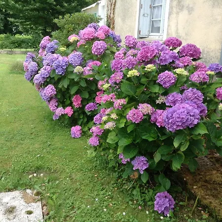 Chateau De 3* Bénac