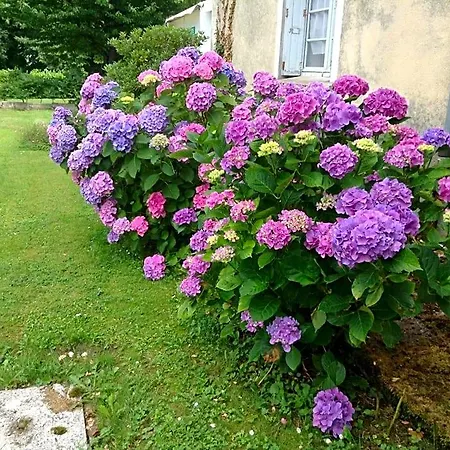 Chateau De Couette-café Bénac
