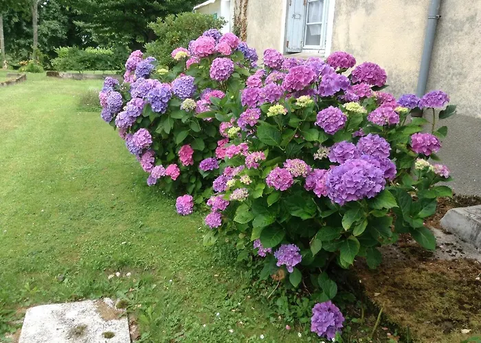 Chateau De 3* Bénac